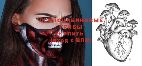 2c-b Алзамай