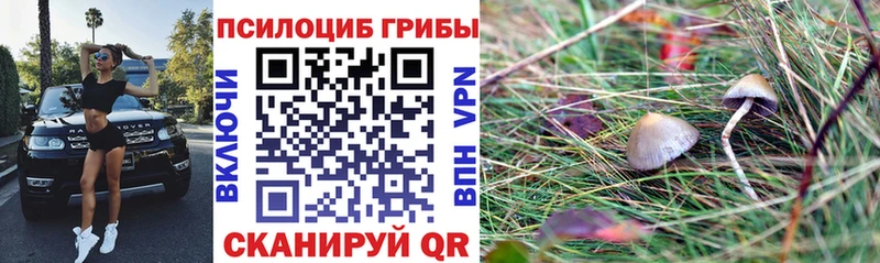 закладки  Красноуральск  Галлюциногенные грибы GOLDEN TEACHER 